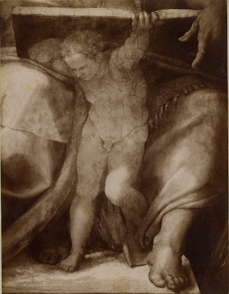 Michelangelo-Sistina-Putto