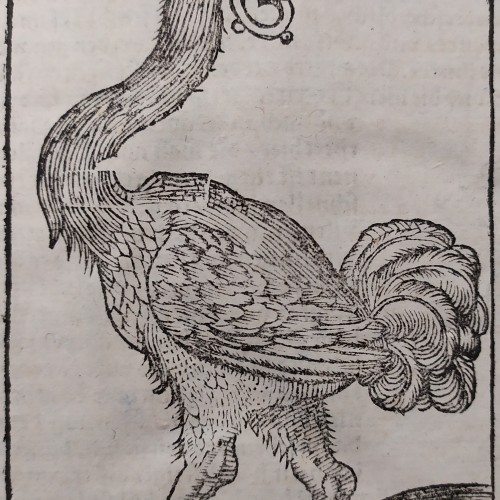 Les animaux comme matrices mnémotechniques et exégétiques de l’Antiquité au XVIe siècle