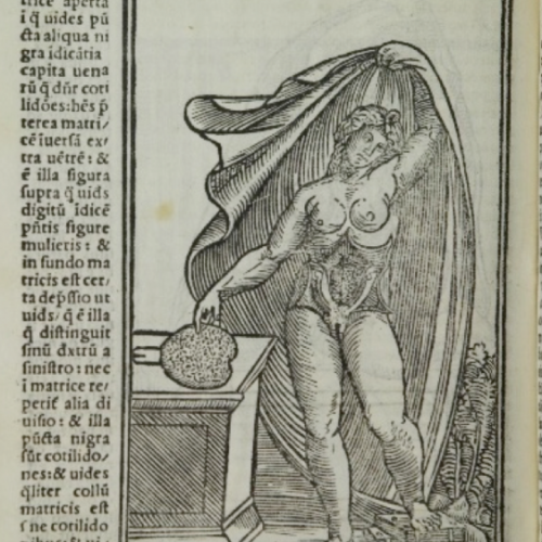 Représenter le sexe féminin, Images et imaginaires XVIe-XXIe