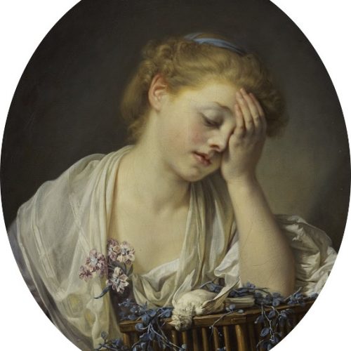 « Je le vis, je rougis, je pâlis à sa vue ». Les couleurs fugaces du visage dans la littérature française du XVIe au XVIIIe siècle.